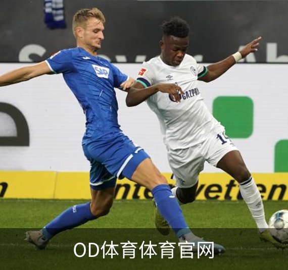 OD体育体育官网概况